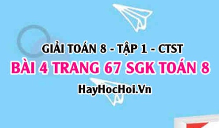 Giải bài 4 trang 67 Toán 8 Tập 1 SGK Chân trời sáng tạo